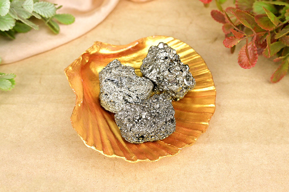 Pyritstein im Meer soll plattieren