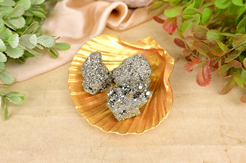 Pyritstein im Meer soll plattieren